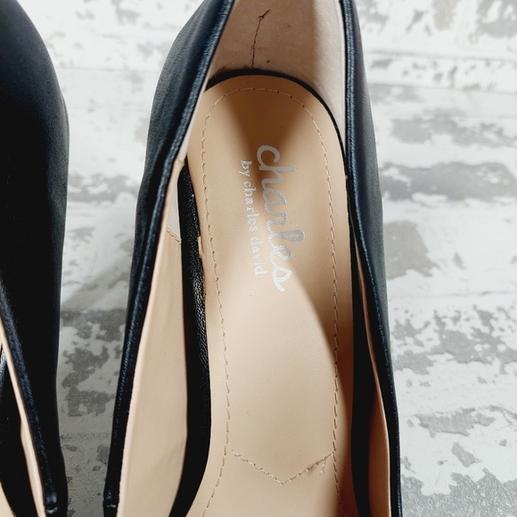 New Charles by Charles David Pact Pointed Toe Pumps i588 - Picture 8 of 11